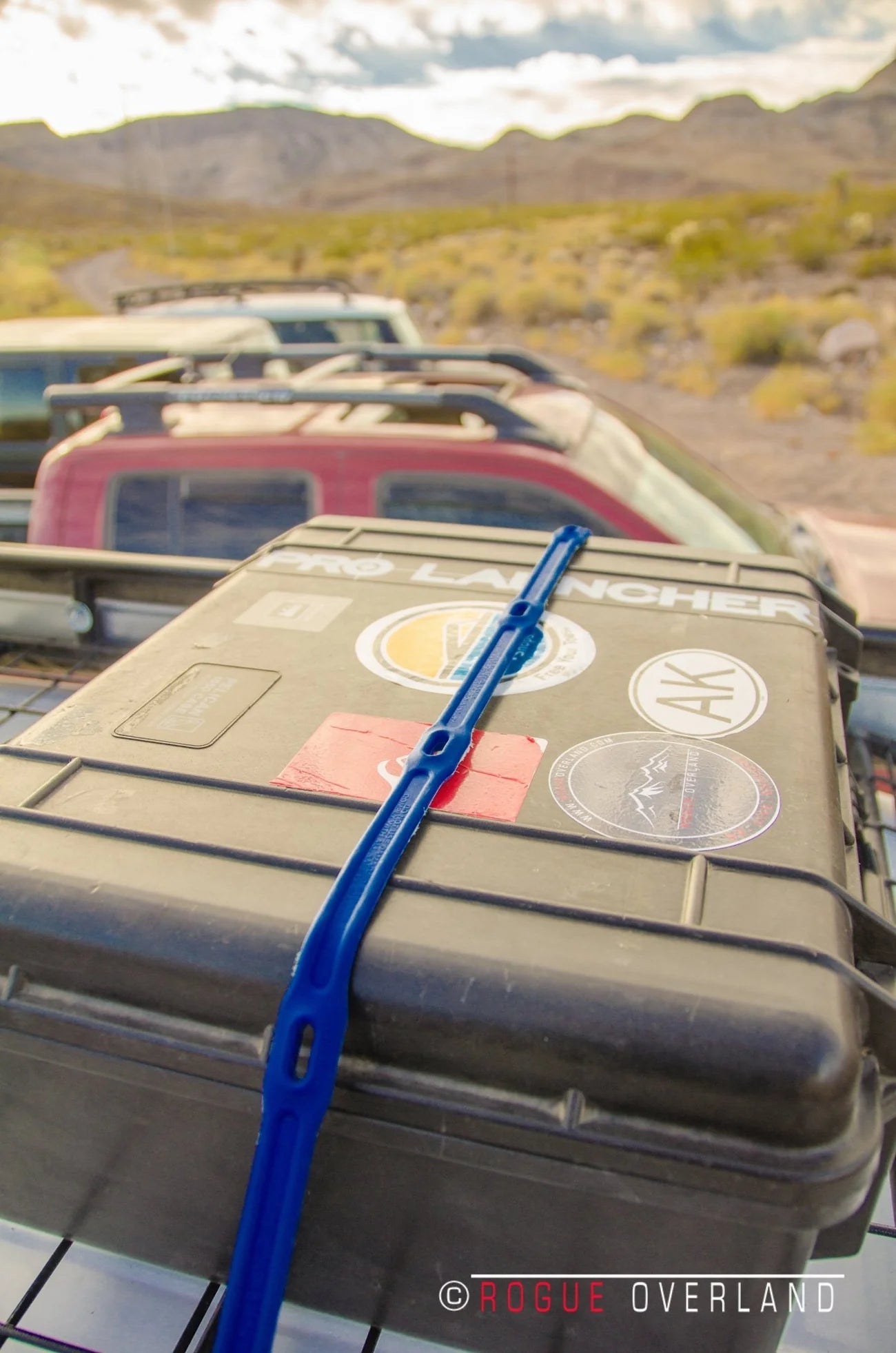 36" Adjustable Bungee Strap - Orange