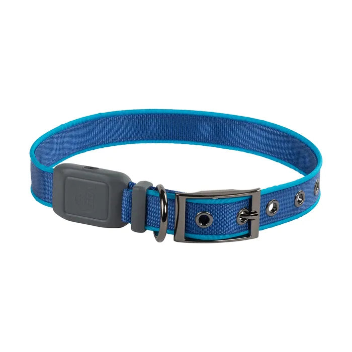 Pet NiteDog Recharg LED Dog Collar - L - Blue