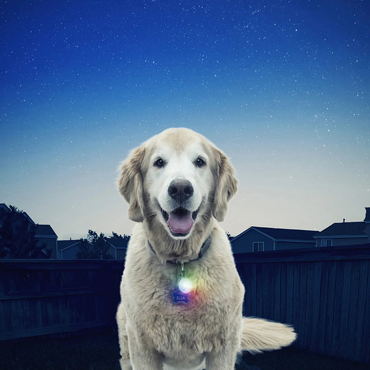 SPotLITTM Led CaraBiner LIGHT - Disc-O SelectTM