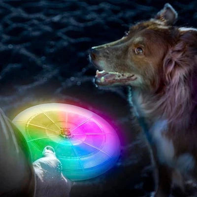 Pet Flashlight Dog Discuit-DISCO